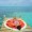 J08801 watermelon 