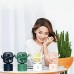 USB-Tischventilator, 3 Geschwindigkeiten, einstellbar, tragbarer niedlicher Kaktus-Tischventilator, Zwei-Wege-Aufladung, Weitwinkel-Schüttelkopf, persönlicher Mini-Lüfter für Zuhause, Büro, Auto, Desktop-Dekoration